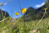 © Markus Reiseimpression von Markus