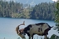 Reiseimpression von Karola