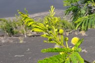 Reiseimpression von Meike