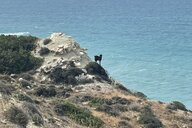 Reiseimpression von Andrea