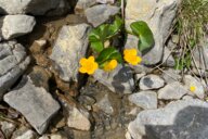 Reiseimpression von Dorothea 