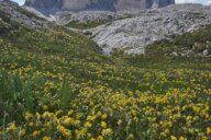 Reiseimpression von Elisabeth