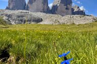 Reiseimpression von Marion