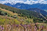 © Anne Reiseimpression von Anne