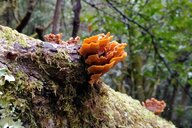 Reiseimpression von Michael