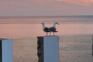 Reiseimpression von Patric Manfred