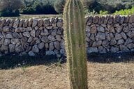 © Christina Maria Reiseimpression von Christina Maria