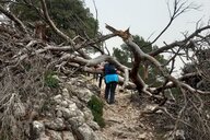 Reiseimpression von Heinz Mario