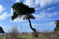 Reiseimpression von Harald