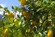 Reiseimpression von Regina Roberta