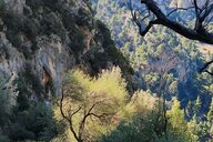 Reiseimpression von Ulrich