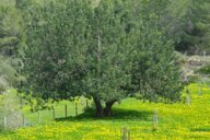 Reiseimpression von Eva-Susanne