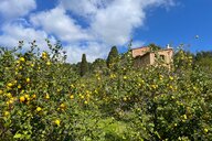 Reiseimpression von Sigrid