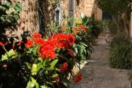 Reiseimpression von Tanja