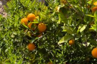 Reiseimpression von Tanja