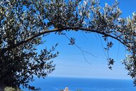 Reiseimpression von Kathrin