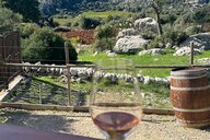 © Agens Reiseimpression von Agens