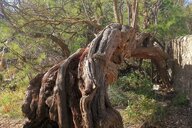 Reiseimpression von Jutta