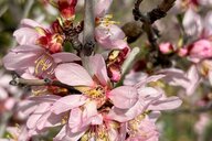 Reiseimpression von Brigitte