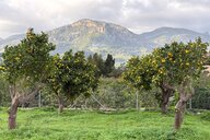 Reiseimpression von Alexa