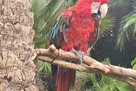 Reiseimpression von Gisela Ursula