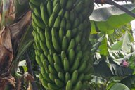 Reiseimpression von Melanie