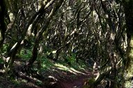 Reiseimpression von Regina