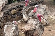 Reiseimpression von Martina