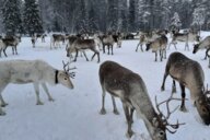 © Uwe Friedrich Reiseimpression von Uwe Friedrich