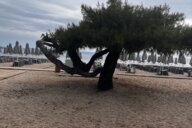 Reiseimpression von Stephanie 
