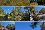 Reiseimpression von Stephanie 