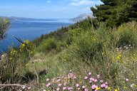 Reiseimpression von Ilga