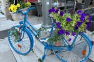 Reiseimpression von Christiane
