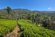 Reiseimpression von Mirko