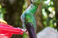 Reiseimpression von Kurt Michael