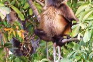 Reiseimpression von Kurt Michael