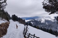 Reiseimpression von Ariane