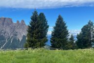 Reiseimpression von Baerbel