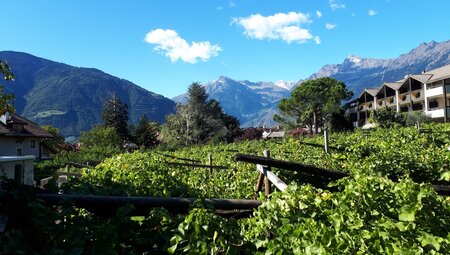 Meran gemütlich erwandern