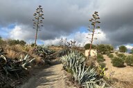 Reiseimpression von Manfred