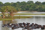 Reiseimpression von Beate