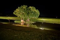 Reiseimpression von Beate