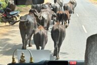 Reiseimpression von Beate