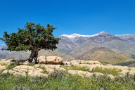 Reiseimpression von Tobias