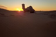 Reiseimpression von Christine Barbara