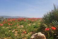 Reiseimpression von Annette Janine