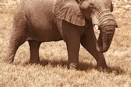 © Jutta  Reiseimpression von Jutta