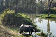 Reiseimpression von Yvonne