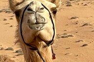 Reiseimpression von Karin