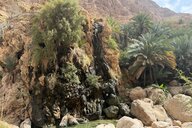 Reiseimpression von Edith Verena